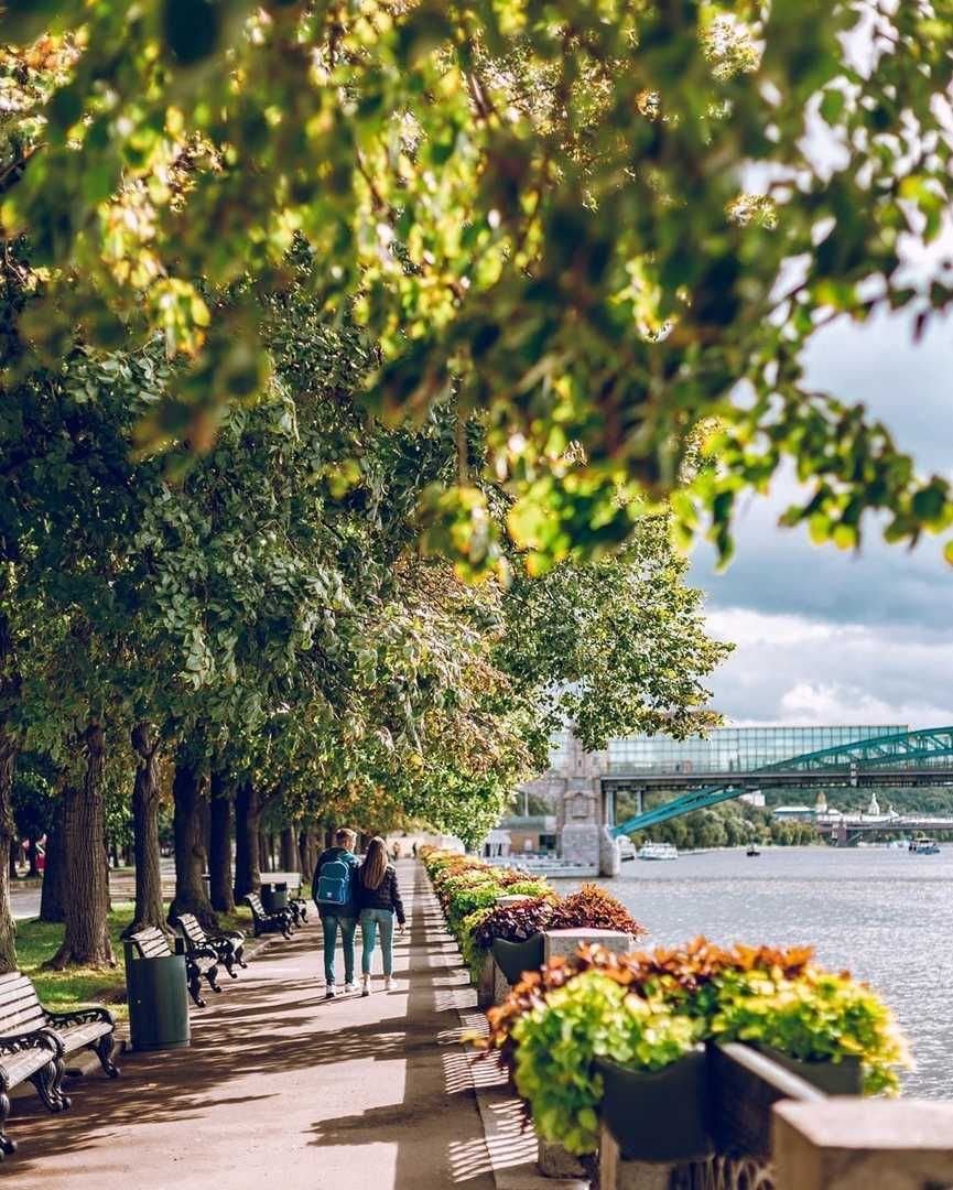 Фото парк горького в москве летом