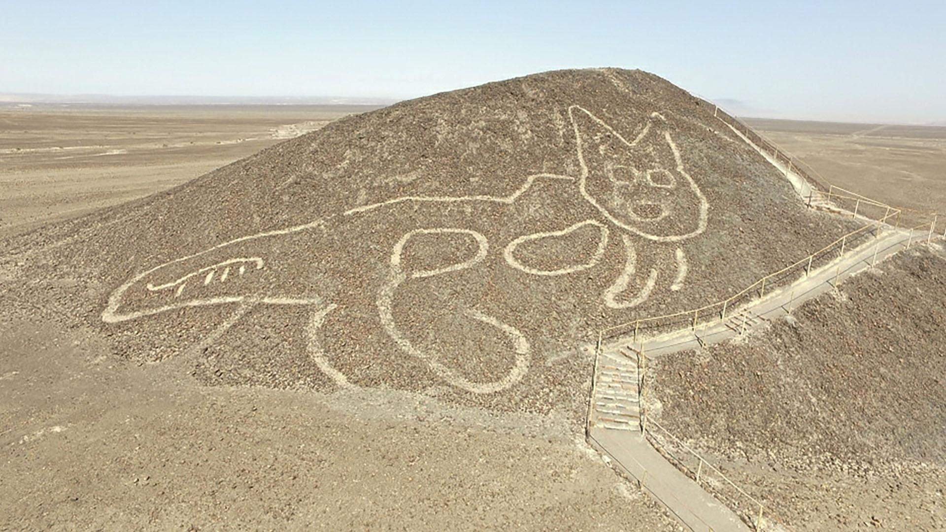 рисунки плато наска в перу