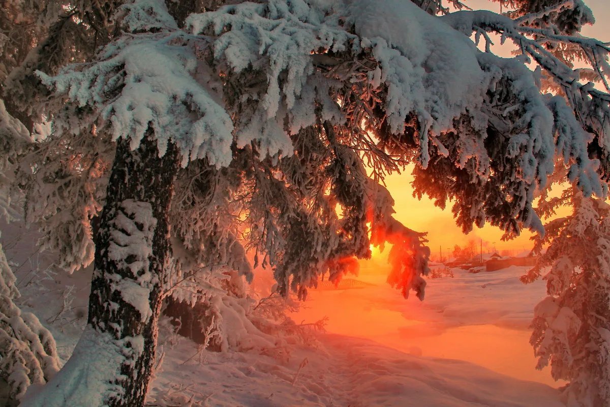 Зимний декабрь. Зимняя сказка. Декабрь природа. Зима декабрь. Зимняя красота.