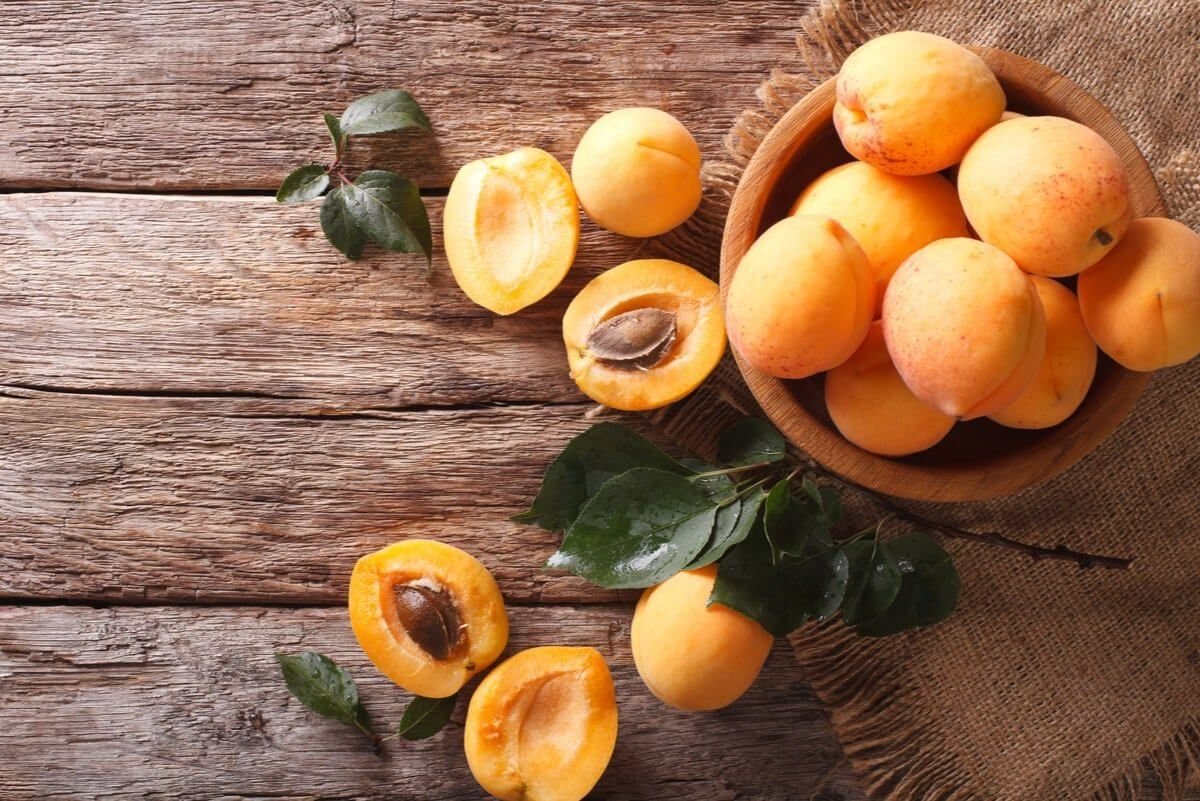 Абрикос это. Apricots – абрикосы. Скраб абрикос Apricot Scrub. Абрикос горный Абакан. Урюк ягода.