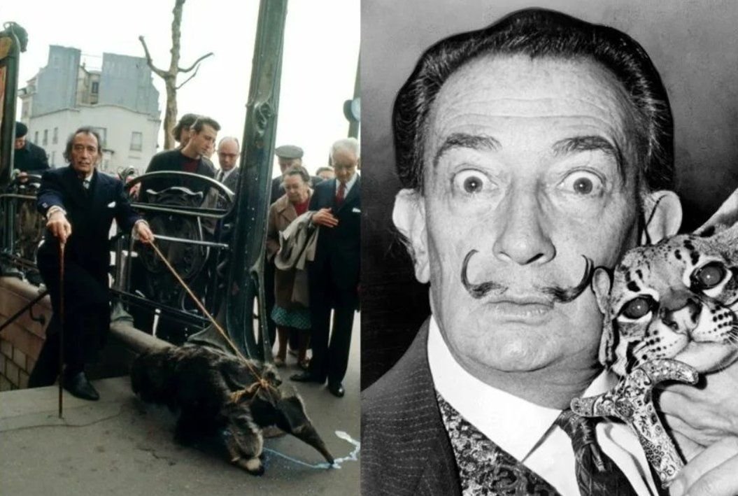 Сальвадор дали выгуливает муравьеда
