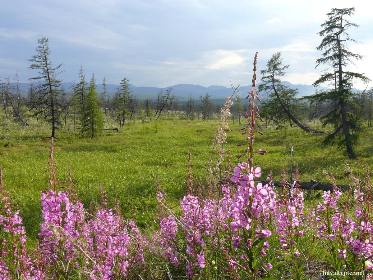 Усть куйга якутия фото