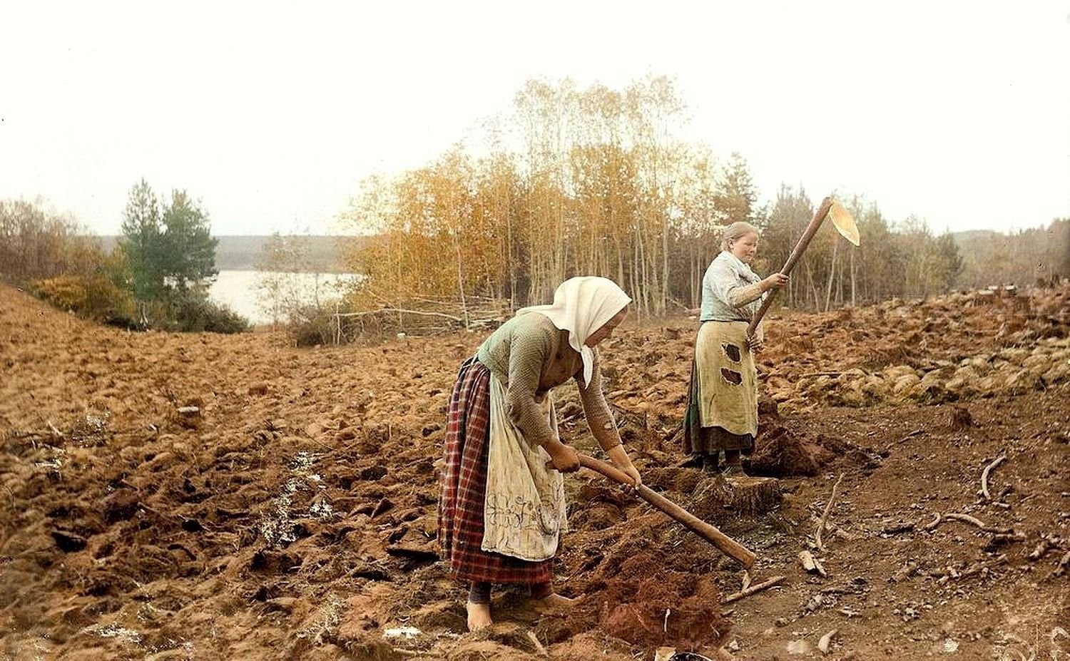 Как люди работали на земле. Ингерманландские крестьяне 19 века. Самули Паулахарью Ингерманландия. Земледелие крестьяне Карелии. Карелы земледелие.