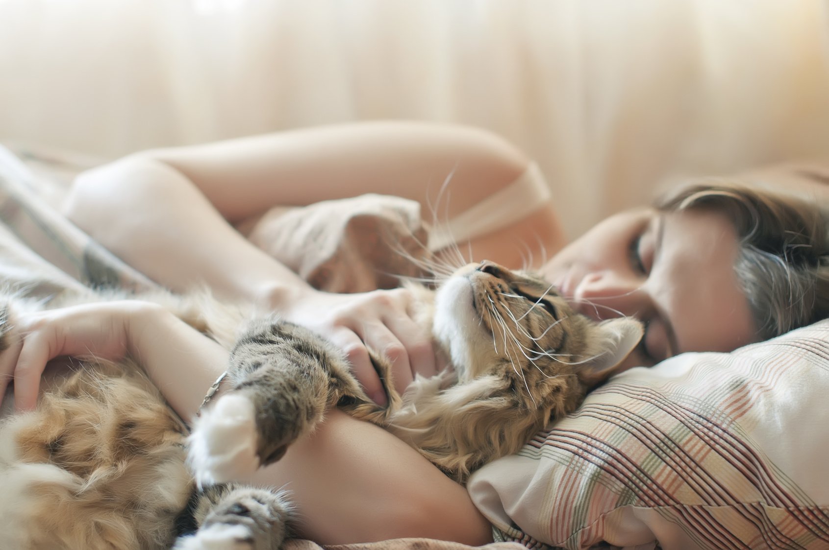 Девушка с котом в постели