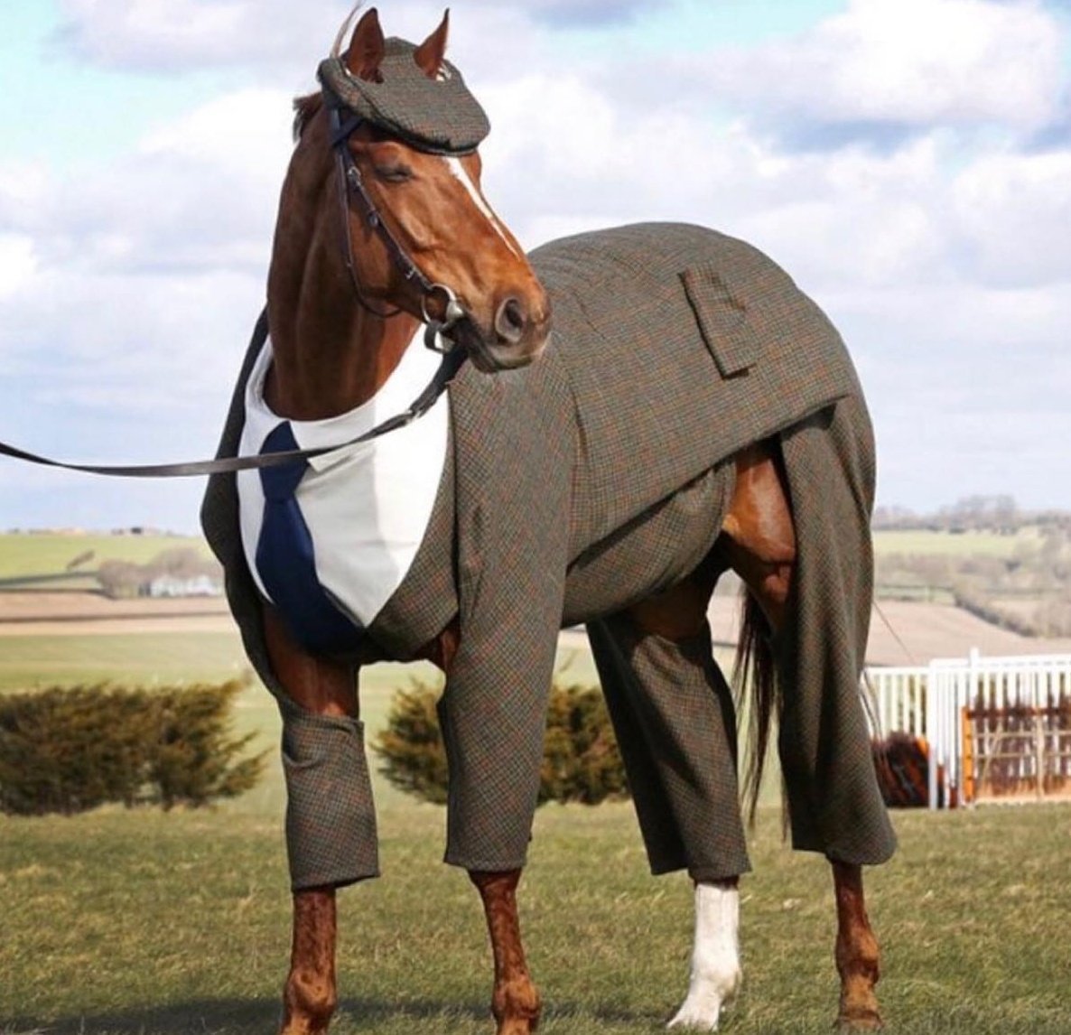 Одежда с лошадьми