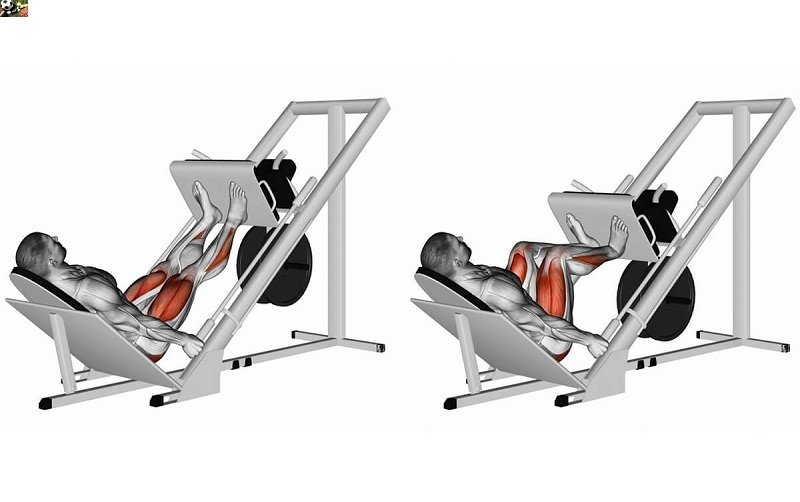 Жим ногами Protrain 6270