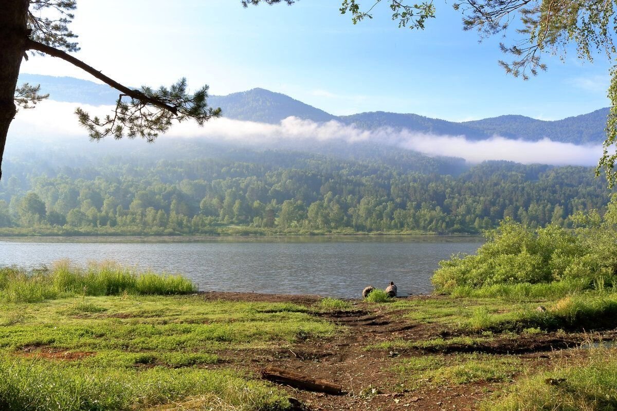 Манжерок алтайский край фото