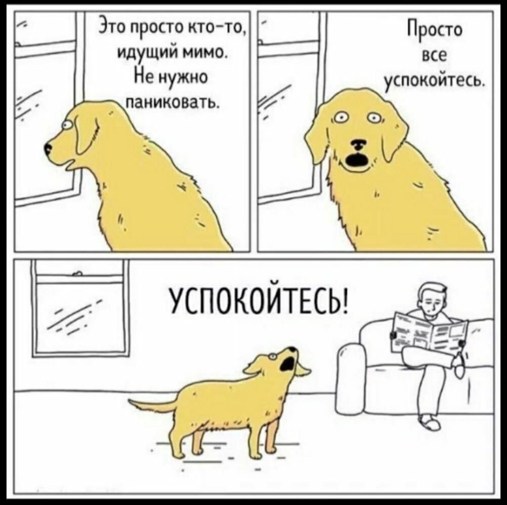 Комикс собака успокойтесь