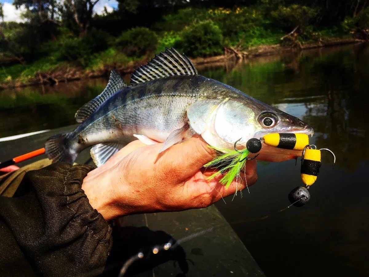 Снасть на судака манула. Мандула на судака. Как ловить на спиннинг мандулой. Рыбацкая снасть мандула. Как ловить на спиннинг мандулой.