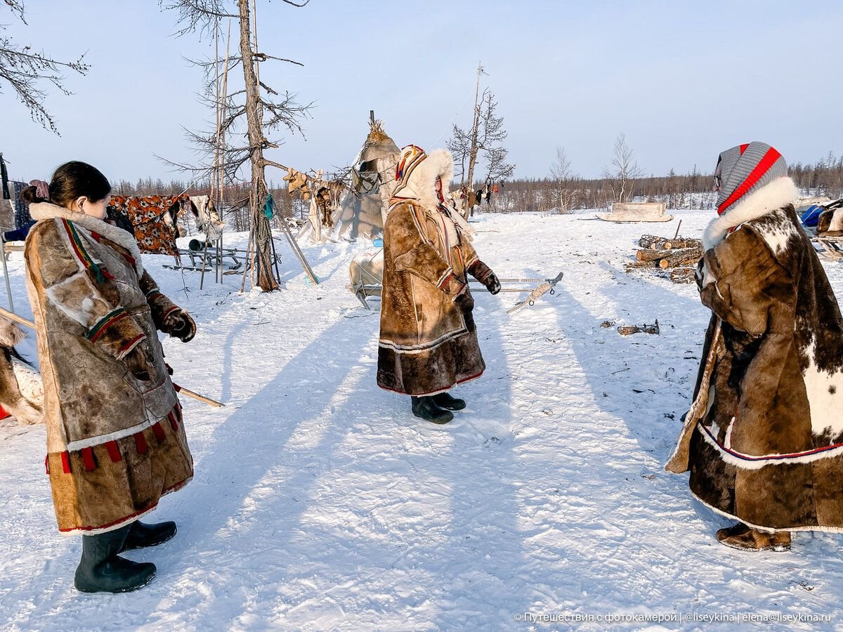 -30 °С зимой в тундре — абсолютно обычная и нормальная температура