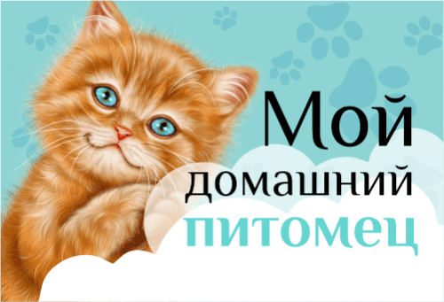 Проект 1 класс мой домашний питомец кот