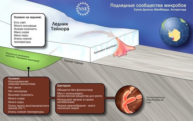 Сухие условия. Кровавый водопад в Антарктиде на карте. Водопад Тейлора в Антарктиде. Кровавый водопад на карте. Ледник Тейлора на карте.