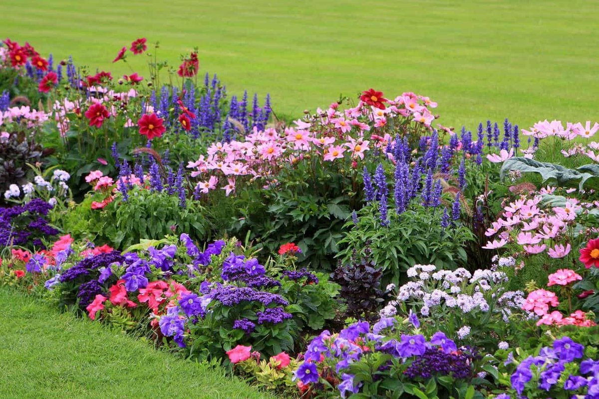 Цветы многолетники для сада неприхотливые долгоцветущие для урала фото и названия