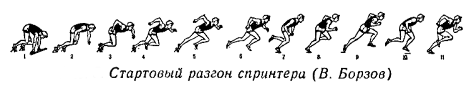 Бег на короткие дистанции схема