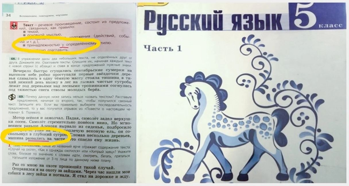 Русский язык 5 класс учебник 352. Ошибка в учебнике русского языка. Картинки из учебника русского языка. Ошибка в учебнике русского языка 5 класс. Учебники русского языка «в добрый путь!».