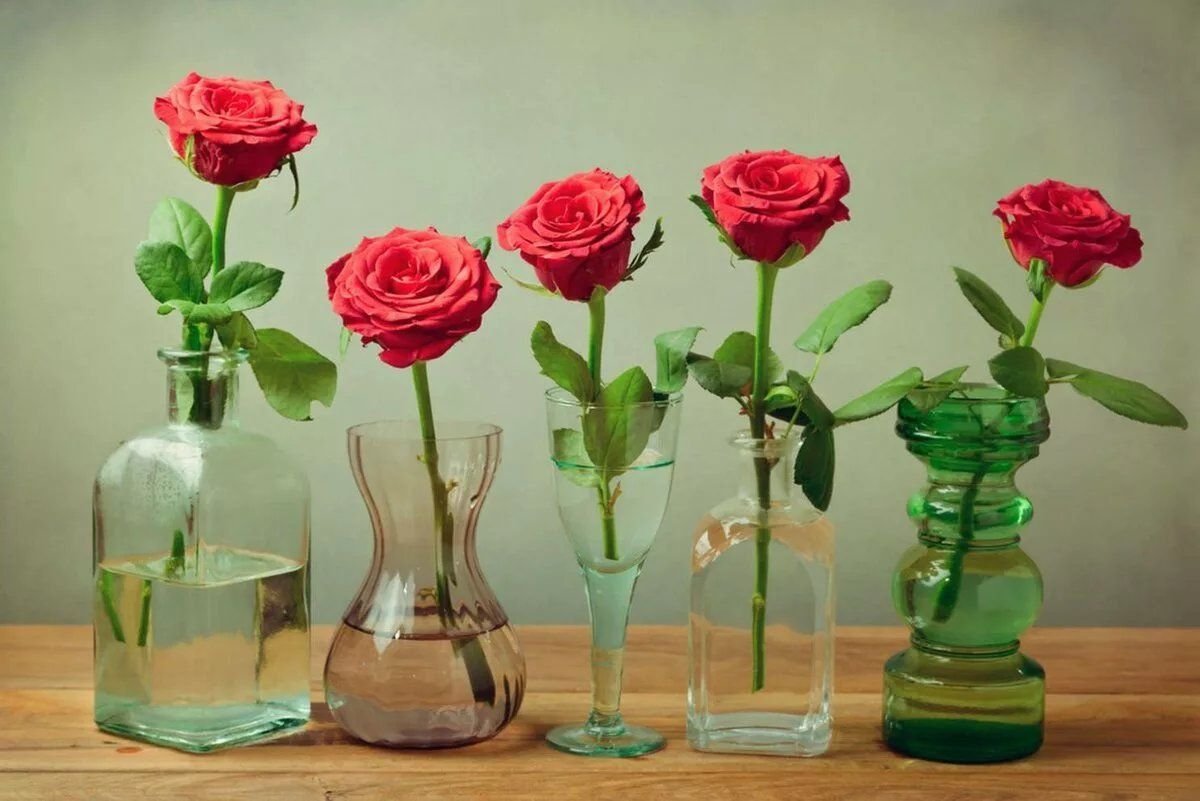 Цветы ставить в холодную или теплую. Цветы в вазе. Розы в вазе. Цветочки в вазе. Цветочные вазы.