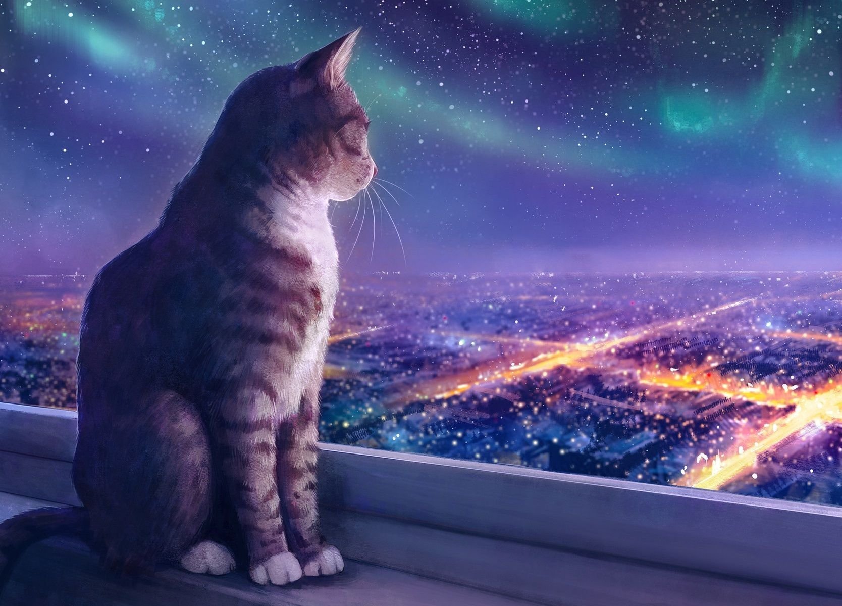 Коты и звездное небо