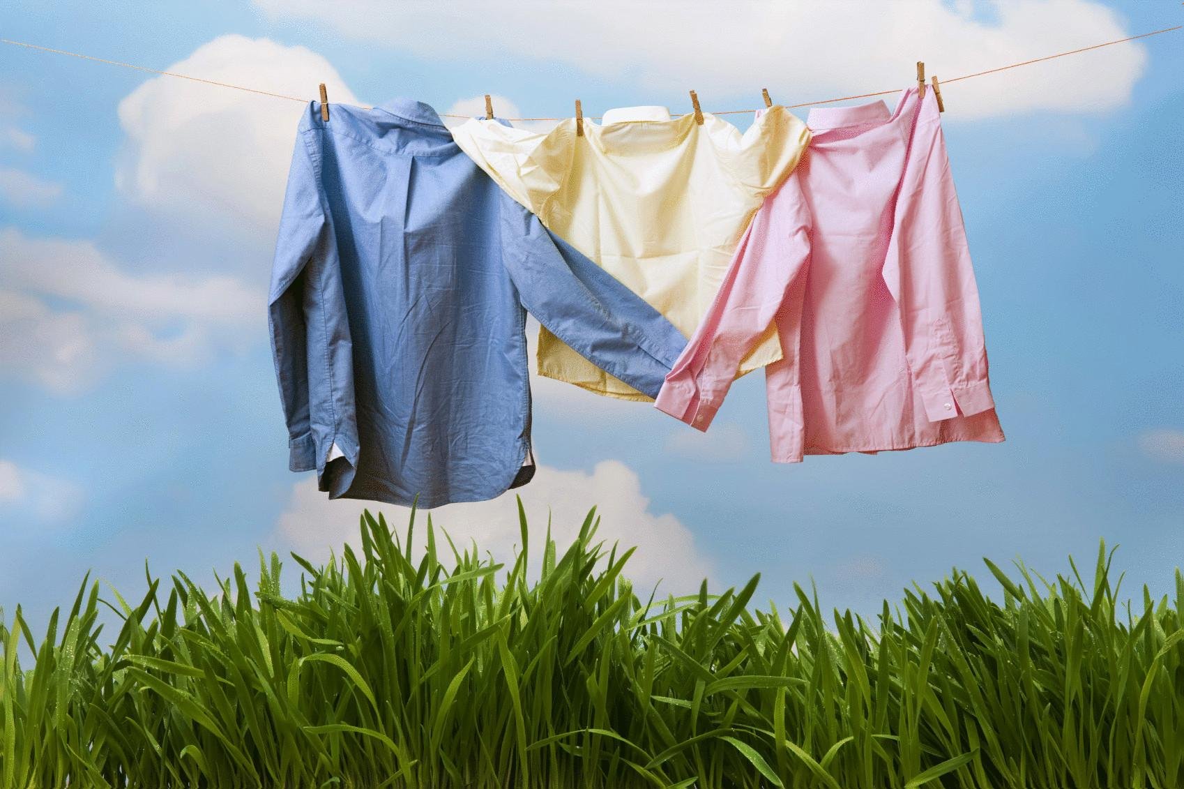 Сайт которое стирает одежду