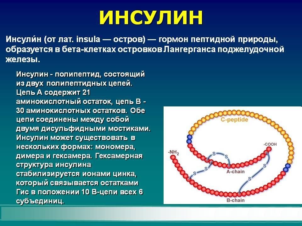 Инсулин поступает в