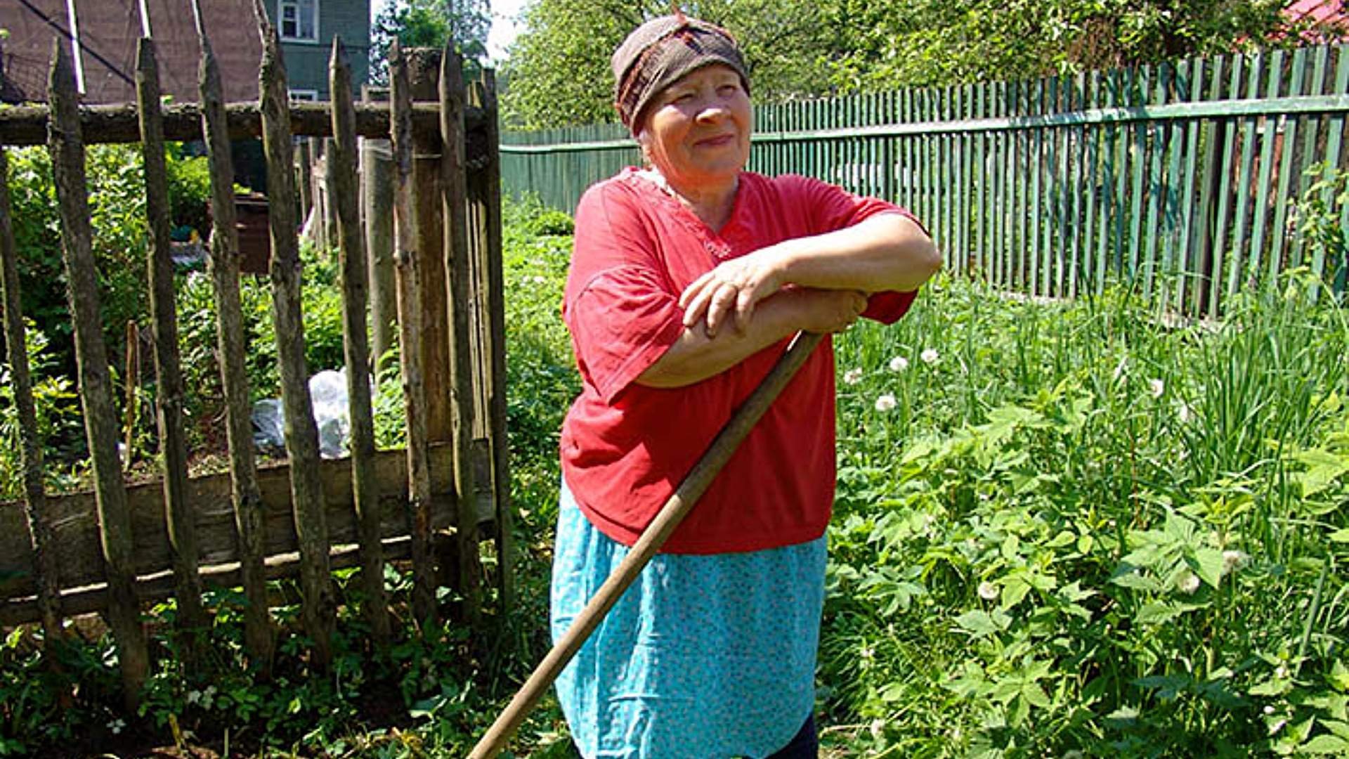 Бабушка в огороде