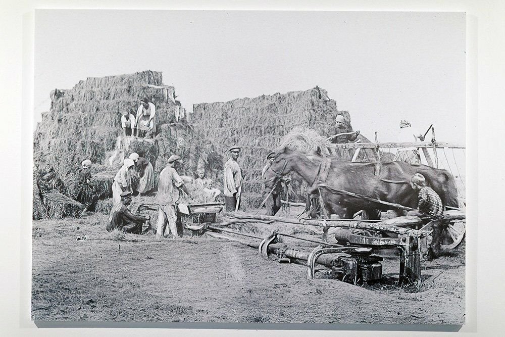переселенцы поволжье. немцы поволжья в саратове 19 век. немцы колонисты поволжья. поволжские колоний немцев 20 век саратов. переселенцы поволжье.