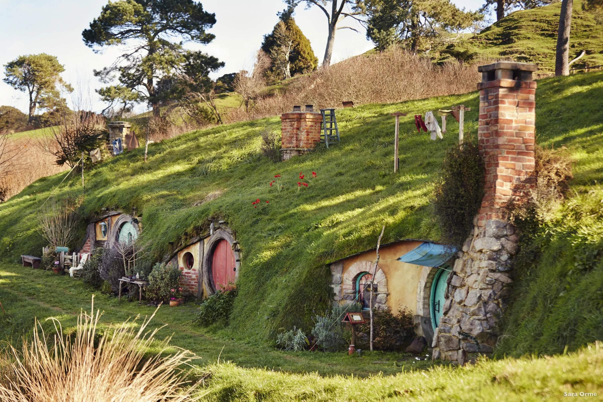 дома хоббитов в новой зеландии