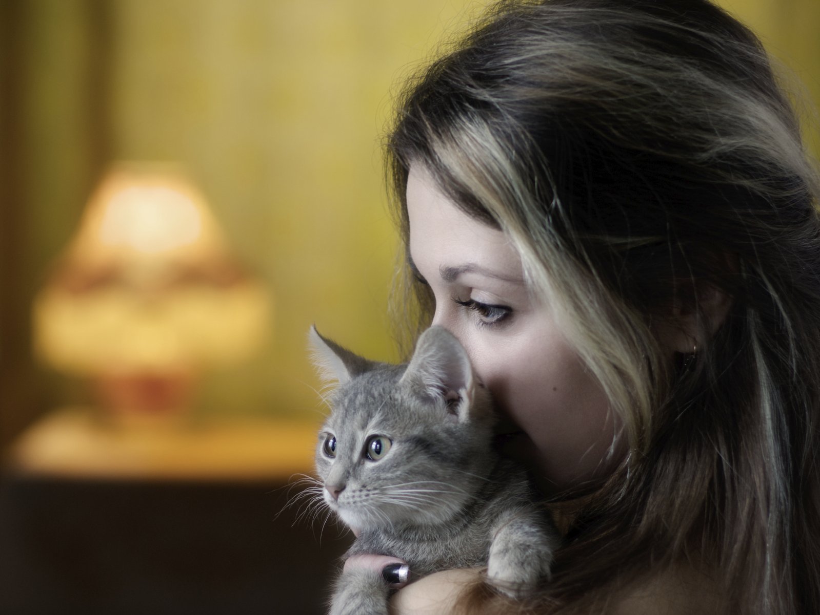 Картинка девушка с кошкой. Девушка с котенком. Женщина с котенком. Красивая девушка с кошкой. Фотосессия с кошкой.
