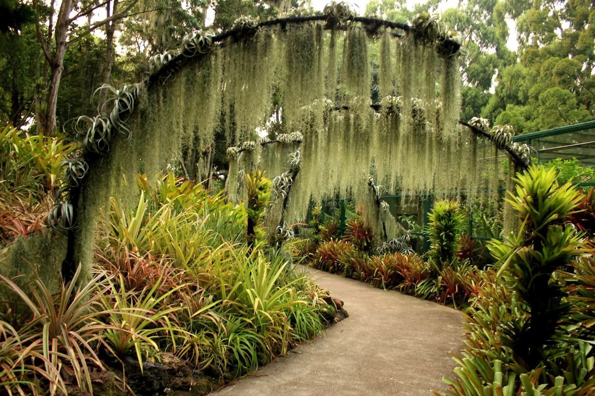 Ботанический сад Botanical Garden