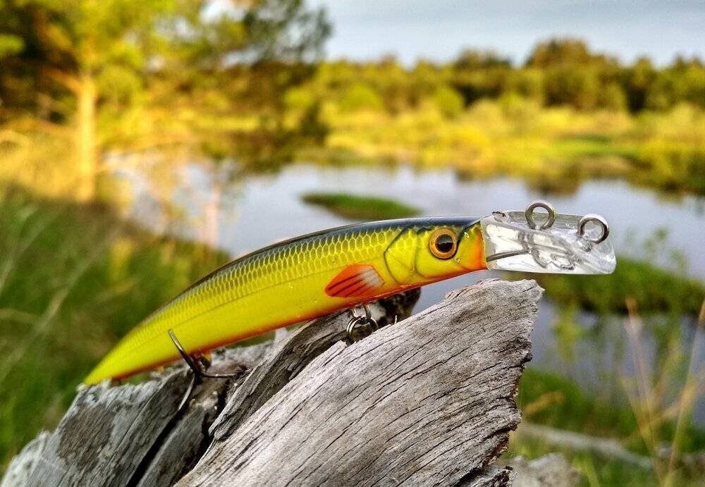 Минноу воронеж. Воблер Минноу. Воблеры скорана. Воблер Top Water Minnow. Минноу на щуку.