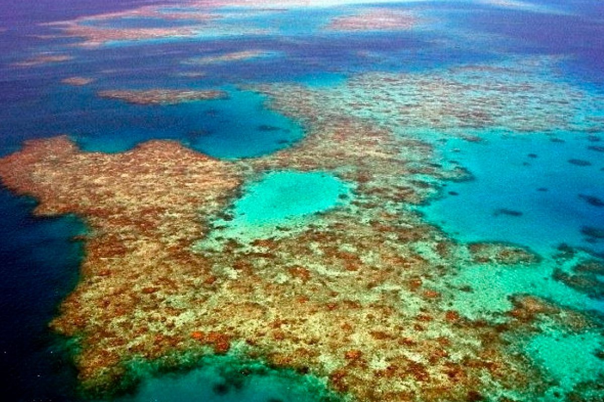 На земле больше морей. Атлантический океан Саргассово море. Саргассово море в океане. Море из водорослей в Атлантическом океане. Саргассово море острова.