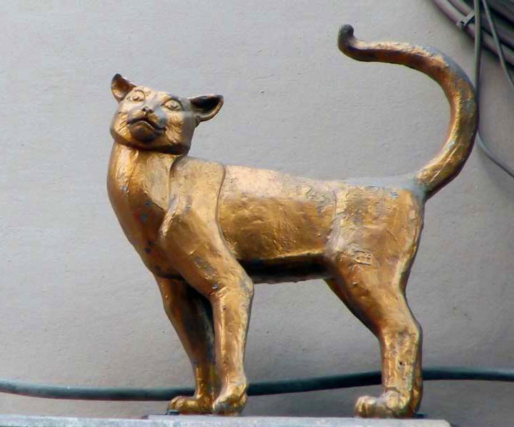 Кот елисей в санкт петербурге