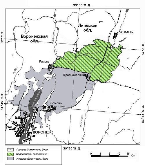 Воронеж графская карта