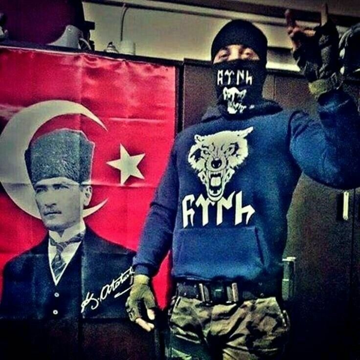 Серые волки турция