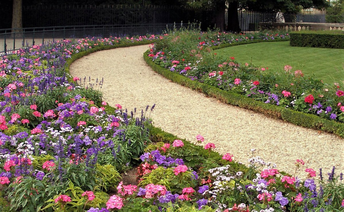 Клумбы в парках петербурга. Вытянутая клумба 7 букв. Рабатка тунберга однолетник. Вытянутая клумба 7 букв. Цветники в александровском саду.