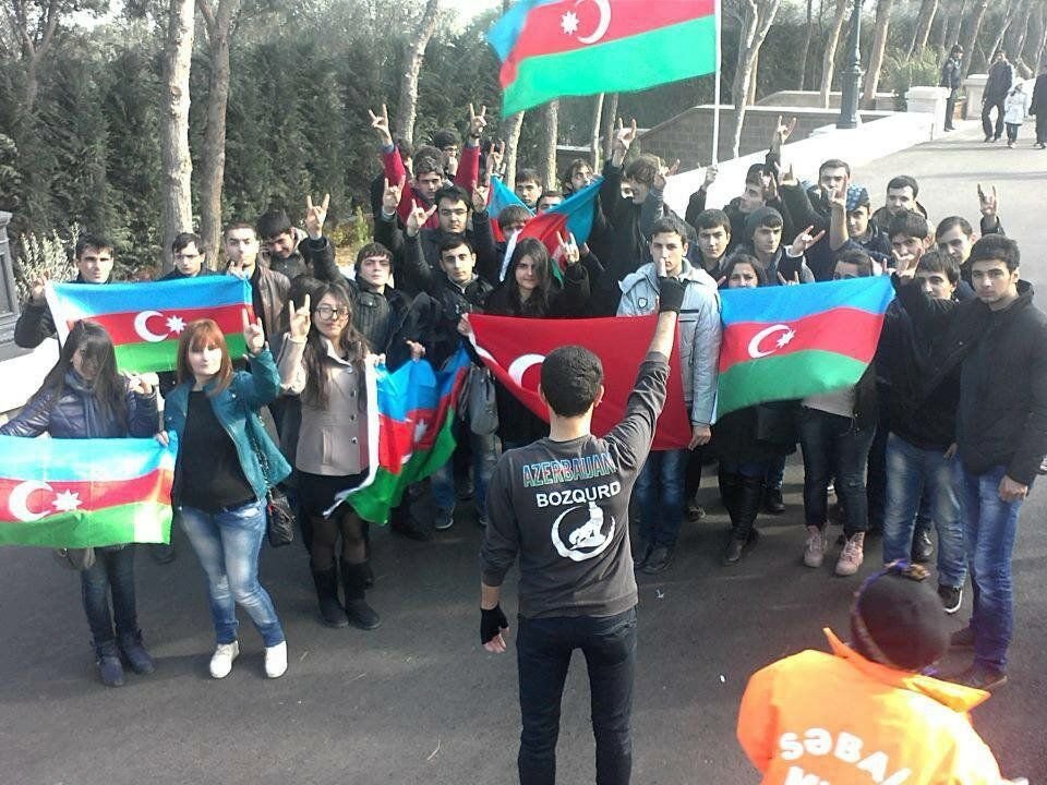 Серые волки турция