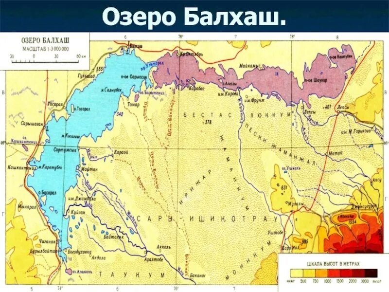 Волга соленая или пресная