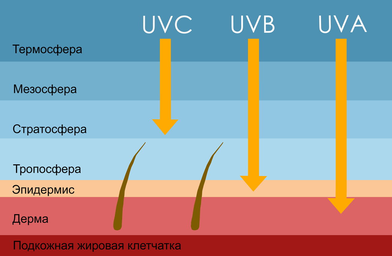 Какое действие оказывают uvb лучи