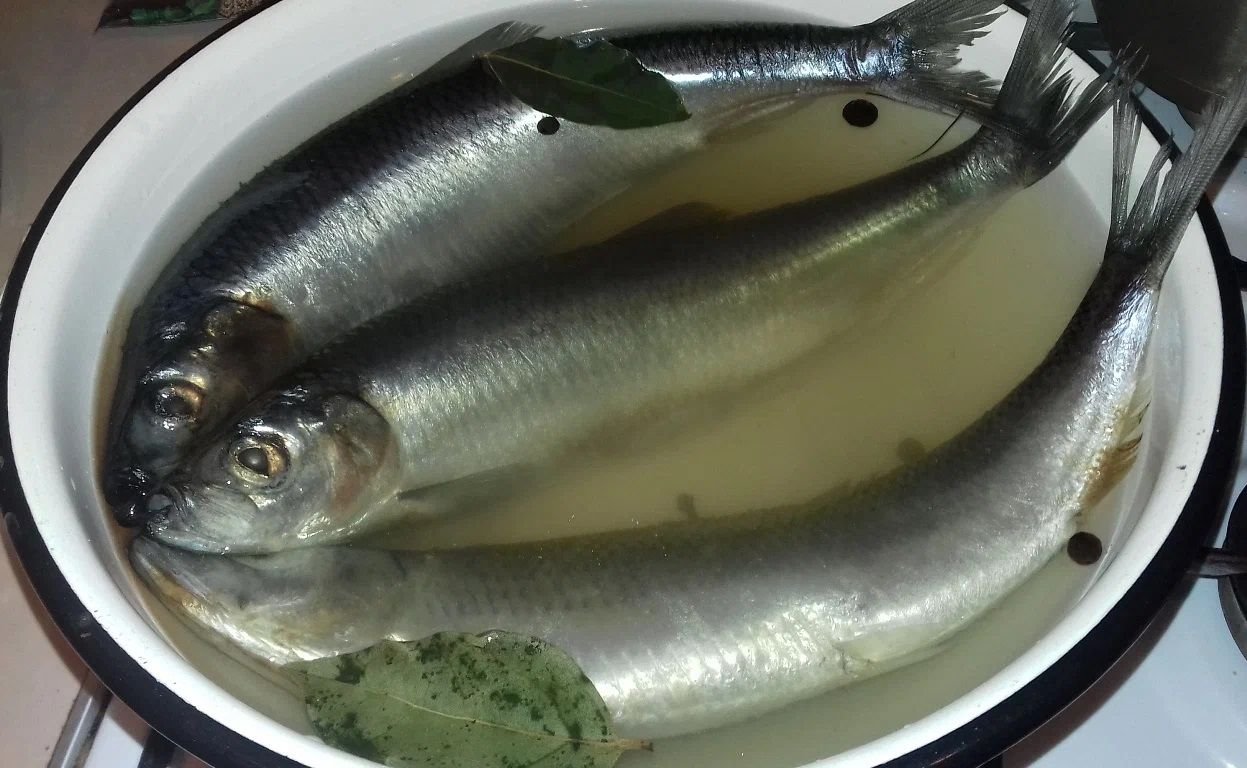 рыба в тузлуке.