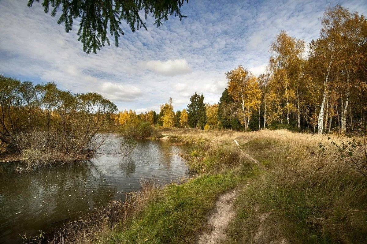 Река на к. Тропинка к реке. Тропинка вдоль реки. Вдоль реки. Река вдоль берега.