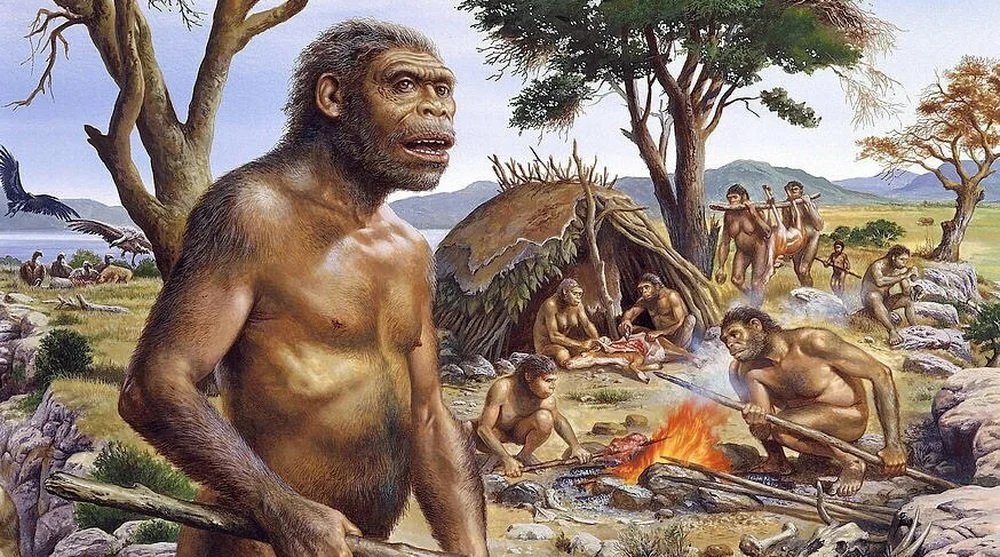 Первые времена на земле. Человек прямоходящий homo Erectus. Архантропы (homo Erectus). Хомо хабилис архантропы. Хомо хабилис хомо Эректус.