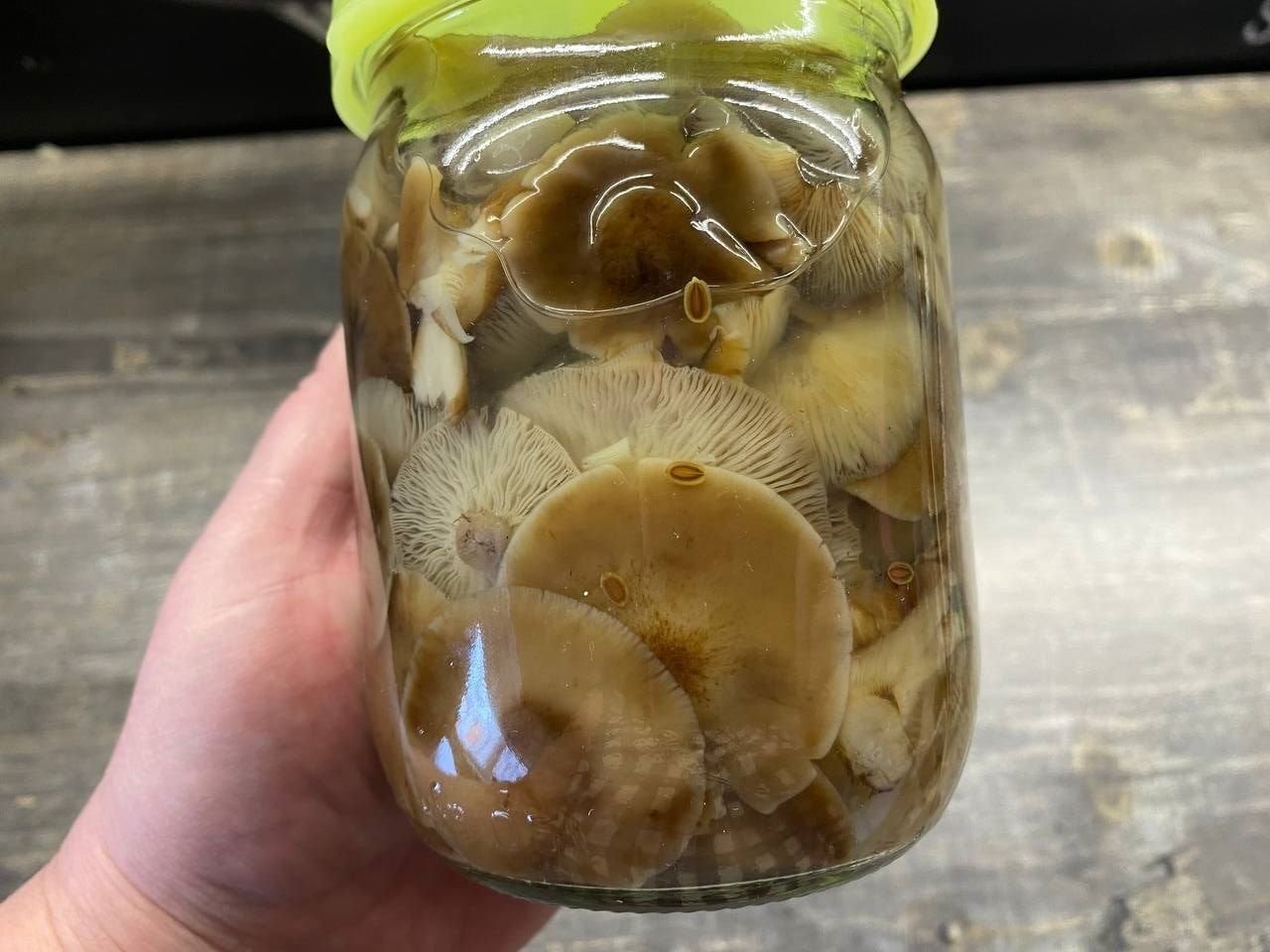 Грибы закатка. Грибы закатанные в баночках. Гриб в банке что это. Вешенки маринованные в банке красный текстильщик. Шампиньоны маринованные консервированные.