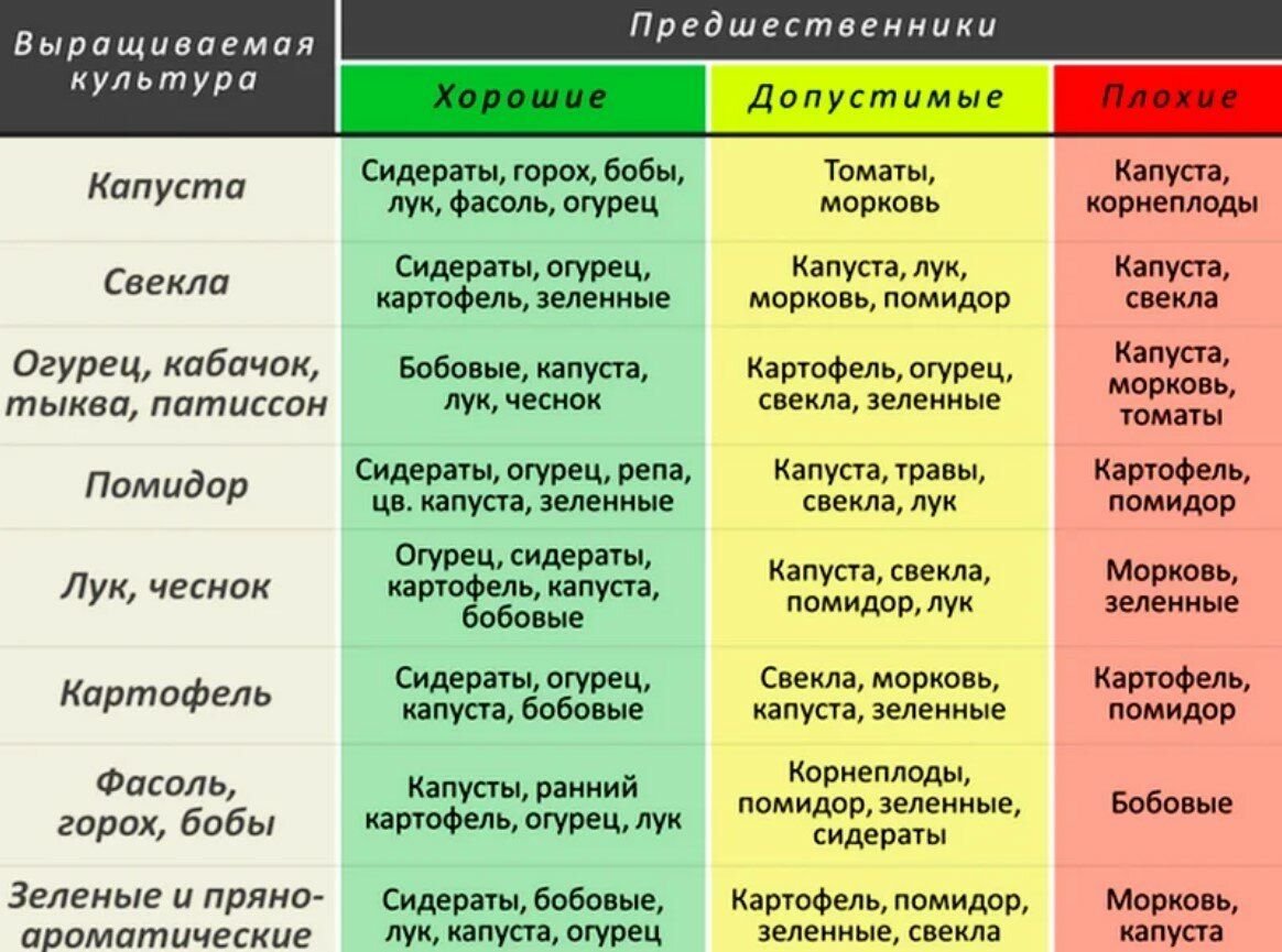 Типы почвы для разных овощных культур