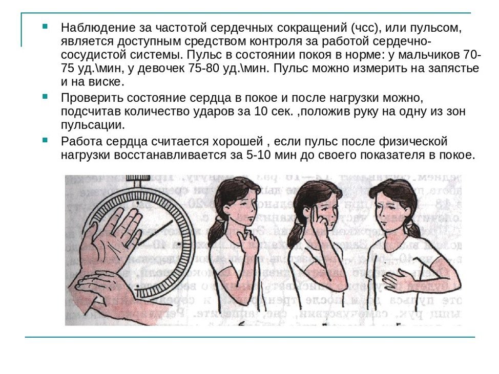 1 измерение пульса. Как определяется частота пульса. Измерение частоты сердечных сокращений ЧСС. Как измерить частоту сердечных сокращений. Где можно измерять пульс частоту сердечных сокращений.