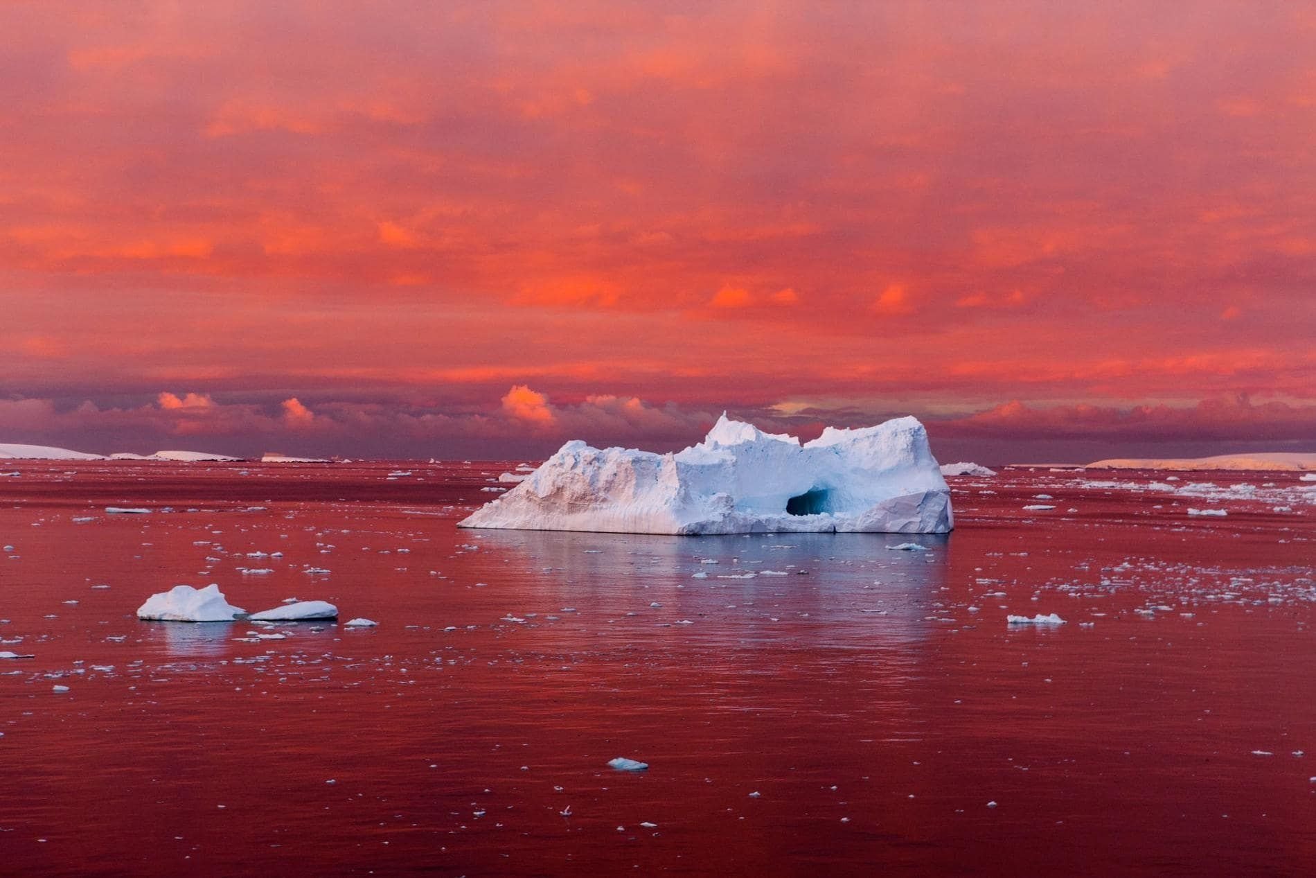 красное море зимой