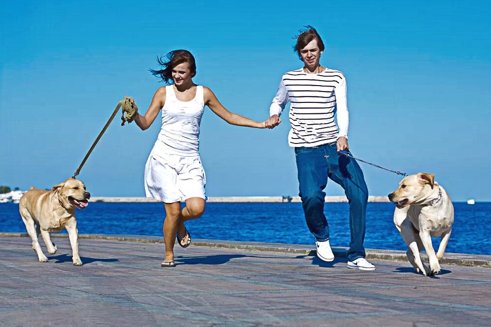 Мужчина собака в браке. Две женщины мужчина и собака. Две собаки и пара. Пара гуляет с собакой. Пара выгуливает собаку.