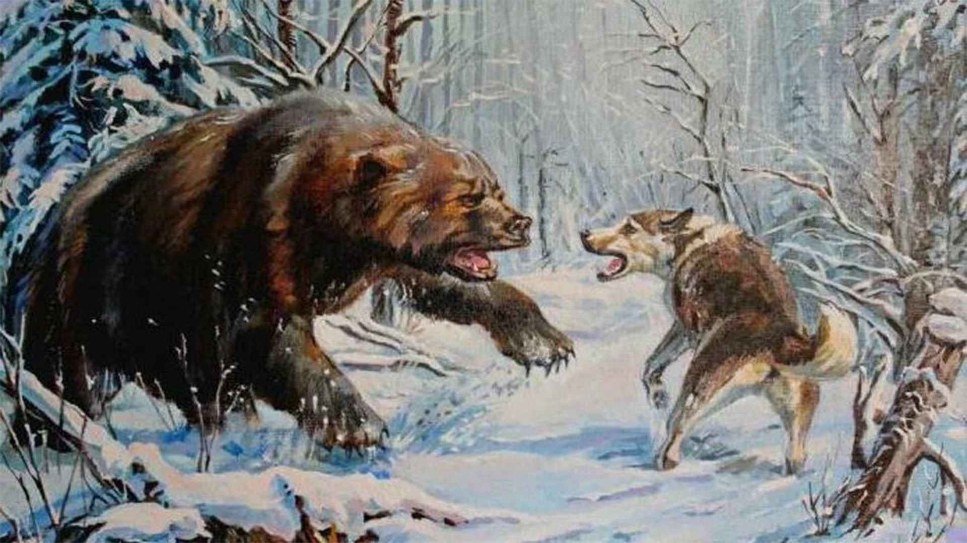 Картинка медведь и волк