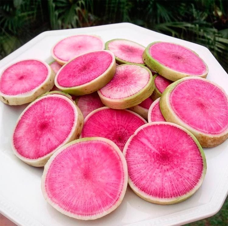 Розовые фрукты фото. Редис дайкон Арбузный. Арбузный редис сорта. Необычные фрукты. Фрукты розового цвета.