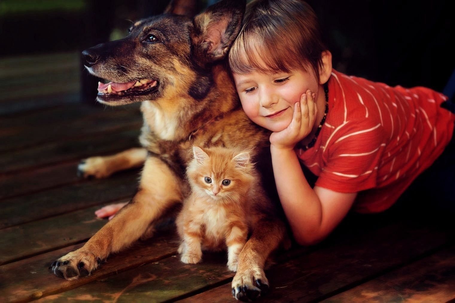 Девочка живет с собаками. Домашние животные для детей. Дети с животными. Обнимает собаку. Собака для детей.