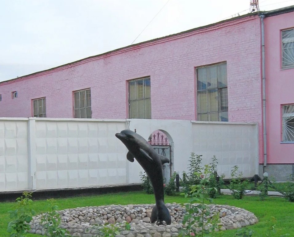 фонтан черный дельфин тюрьма. фонтанчик с черным дельфином оренбург. фонтанчик с черным дельфином соль илецк. фонтанчик с черным дельфином на звонок. фонтанчик с черным дельфином.