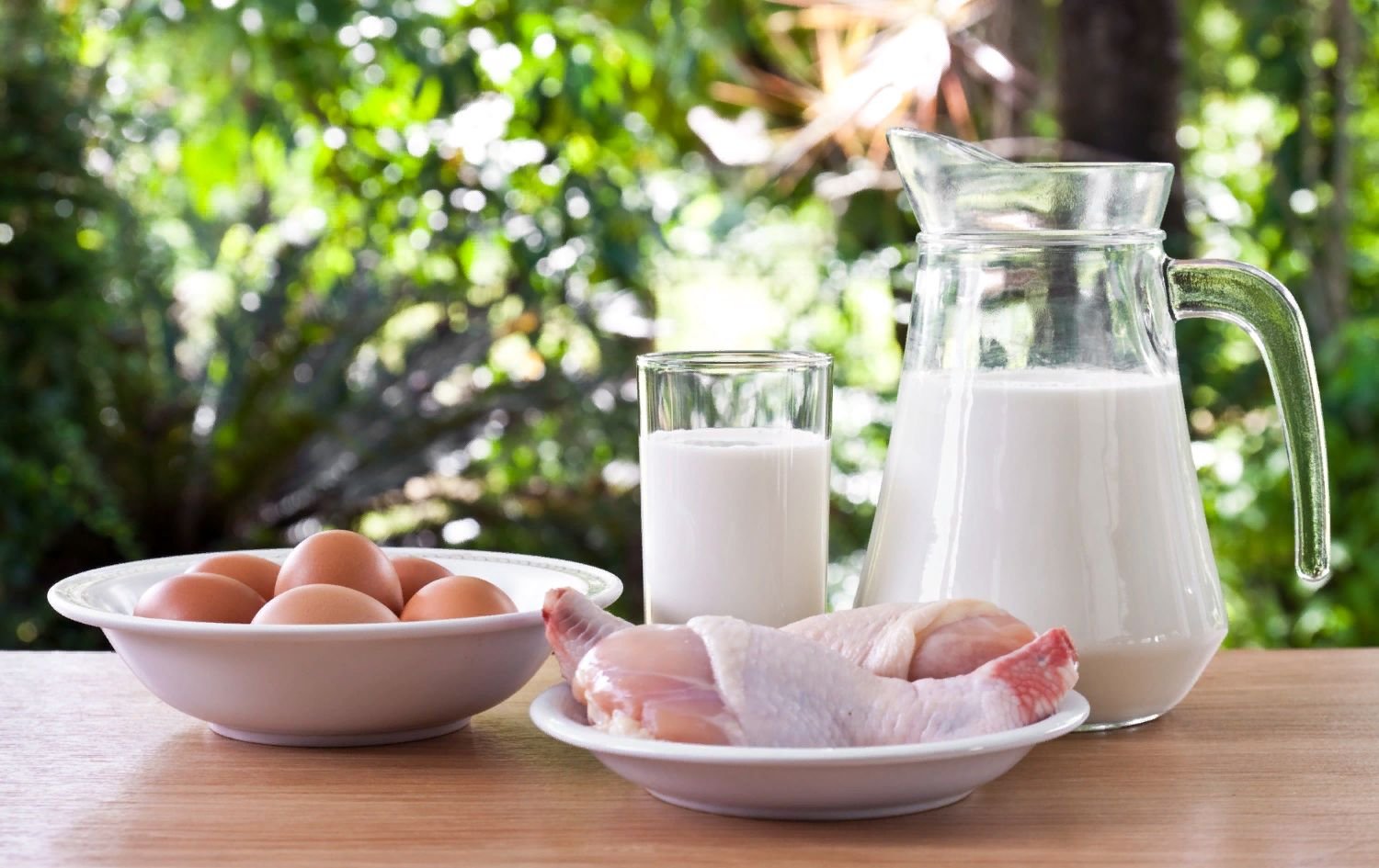 Курицам можно молоко. Молоко и яйца. Мясо и молоко. Мясо-молочная продукция. Молочные и мясные продукты.